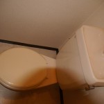 ライトハイツＨ棟 101号室 画像15